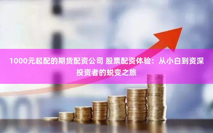 1000元起配的期货配资公司 股票配资体验：从小白到资深投资者的蜕变之旅