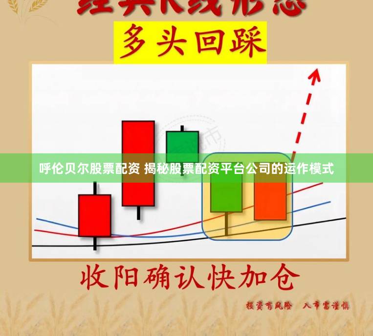 呼伦贝尔股票配资 揭秘股票配资平台公司的运作模式