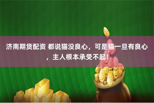 济南期货配资 都说猫没良心，可是猫一旦有良心，主人根本承受不起！