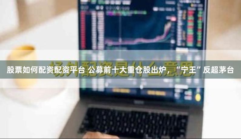 股票如何配资配资平台 公募前十大重仓股出炉，“宁王”反超茅台