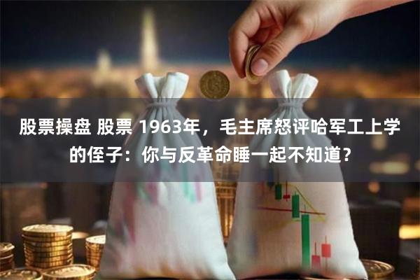 股票操盘 股票 1963年，毛主席怒评哈军工上学的侄子：你与反革命睡一起不知道？