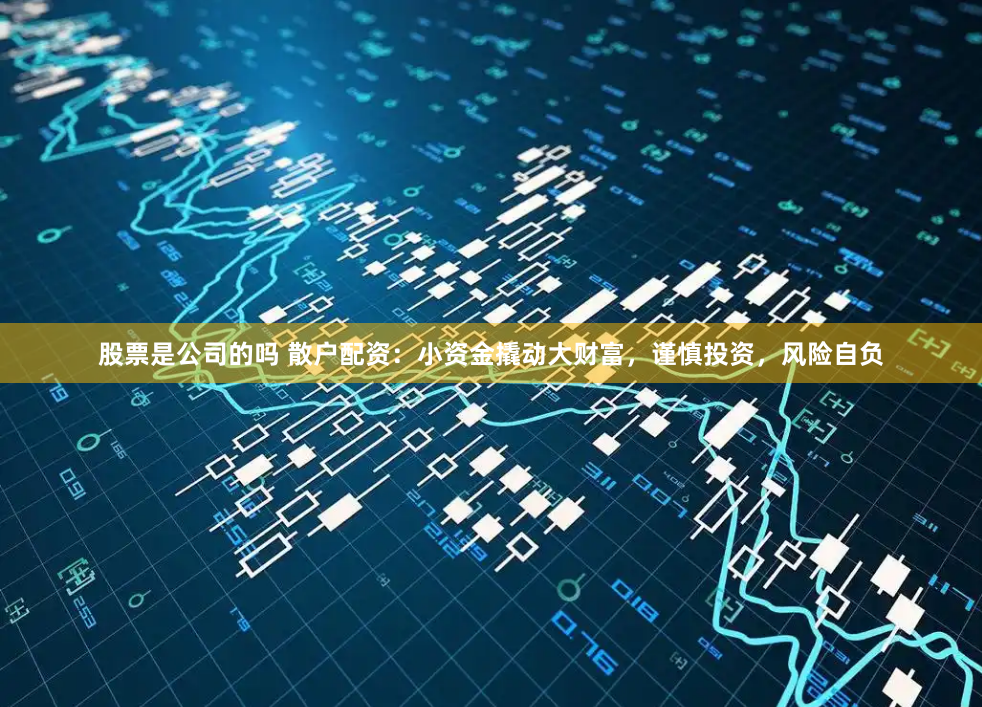 股票是公司的吗 散户配资：小资金撬动大财富，谨慎投资，风险自负