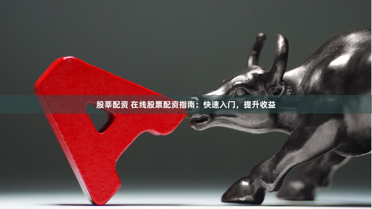 股莘配资 在线股票配资指南：快速入门，提升收益