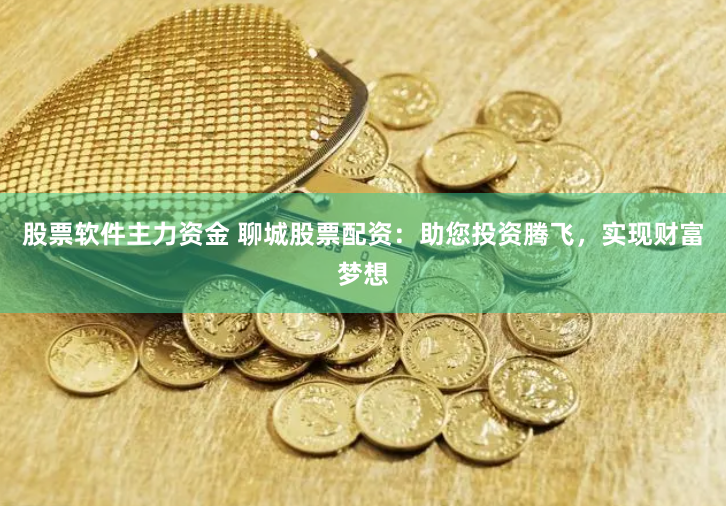 股票软件主力资金 聊城股票配资：助您投资腾飞，实现财富梦想
