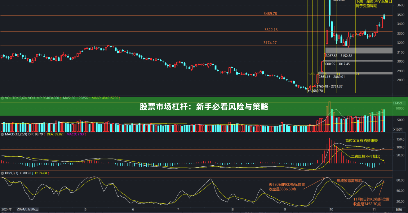 股票市场杠杆：新手必看风险与策略