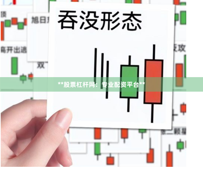 **股票杠杆网：专业配资平台**